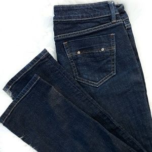 Banana Republic Classic Skinny Jeans
